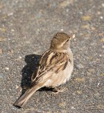 DSC_2824.jpg