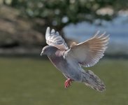 DSC_2854.jpg