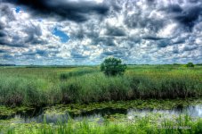 D71_4735_6_7_8_9_tonemapped.jpg