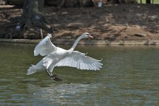 DSC_2952.jpg