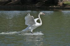 DSC_2954.jpg
