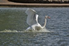 DSC_2956.jpg