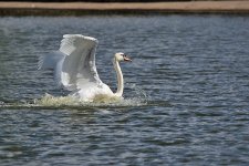 DSC_2957.jpg