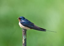 DSC_3028.jpg