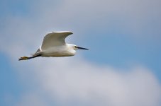 DSC_3014.jpg