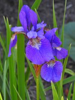 DSCN0031.jpg