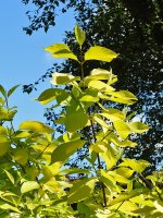 DSCN0040.jpg