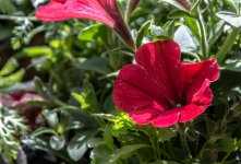 DSC_3068.jpg