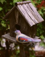 DSC_0018.jpg
