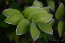 DSC_0020.jpg