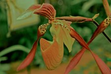 DSC_0072.jpg