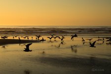DSC_0794.jpg