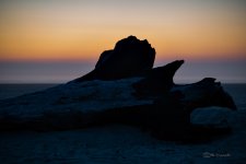DSC_0823.jpg