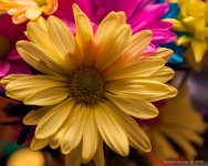 DSC_0738.jpg