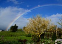 DSC_4297.JPG