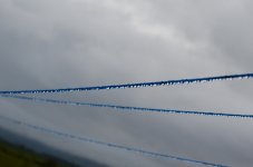 DSC_4303_resize.JPG