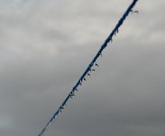 DSC_4320_resize.JPG