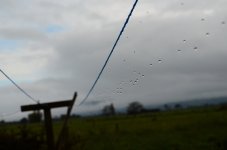 DSC_4327_resize.JPG