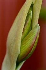 DSC_0095.jpg