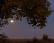 DSC_0751.jpg