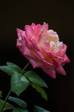 IMG_8067.jpg