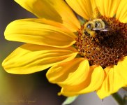 Sept 28B, 2012_edited-1.jpg