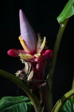 DSC_0076.jpg