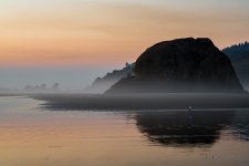 DSC_0818.jpg