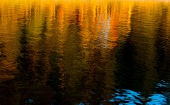 DSC_1098.jpg