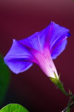 DSC_0097.jpg