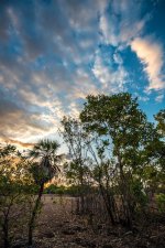 Jabiru 04-10-2012-1.jpg