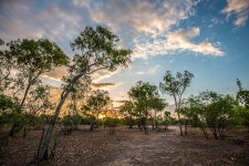 Jabiru 04-10-2012-2.jpg