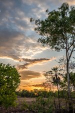 Jabiru 04-10-2012-3.jpg