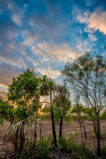 Jabiru 04-10-2012-4.jpg