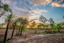 Jabiru 04-10-2012-5.jpg