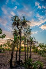 Jabiru 04-10-2012-6.jpg