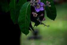 DSC_0326.jpg