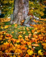 DSC_0350_3792_tonemapped.jpg