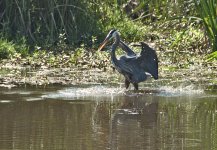 _DSC4451_4.jpg