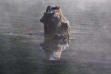 October 5, 2012,B.jpg