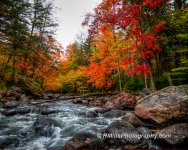 single River-2.jpg