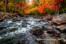 DSC_0302_3763_tonemapped.jpg