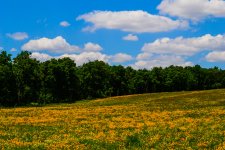 DSC_0254-2-3.jpg