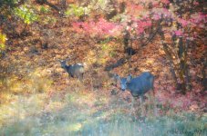 DSC_1314_edited-1.jpg