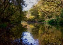 DSC_0894_5_6_fused-2.jpg