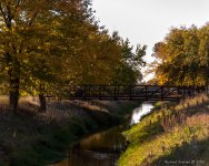 DSC_0944.jpg