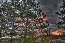 backyard sunrise.jpg