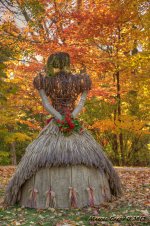 fall arrangement.jpg