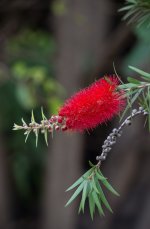 DSC_0008-2.jpg