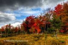 DSC_0272_3739_3_3740_4_3741_tonemapped.jpg